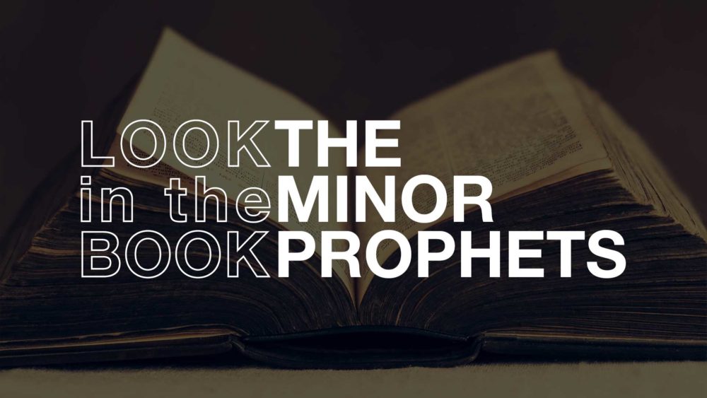 Look in the Book :: The Minor Prophets