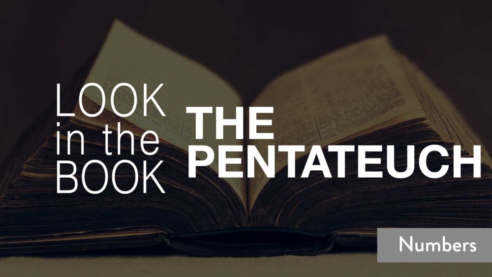 Look in the Book :: Numbers
